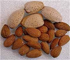 با خوردن، لاغر شوید با خوردن، لاغر شوید