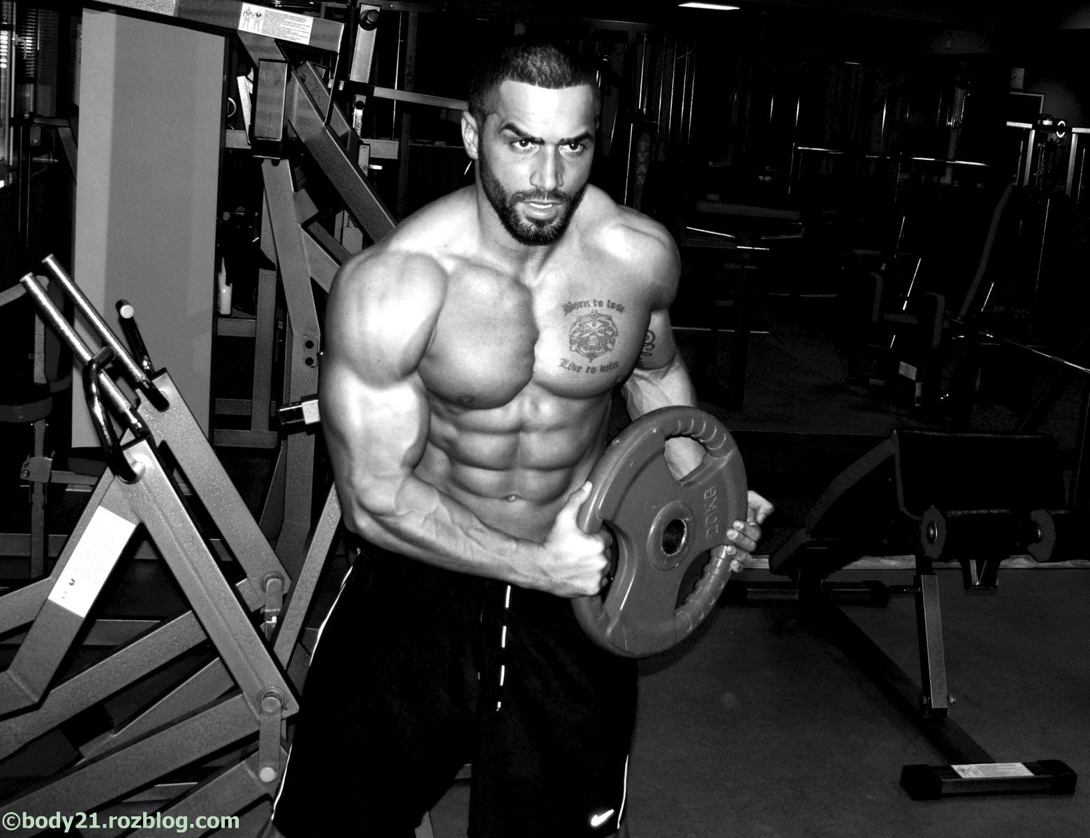 عکسهای Lazar Angelov