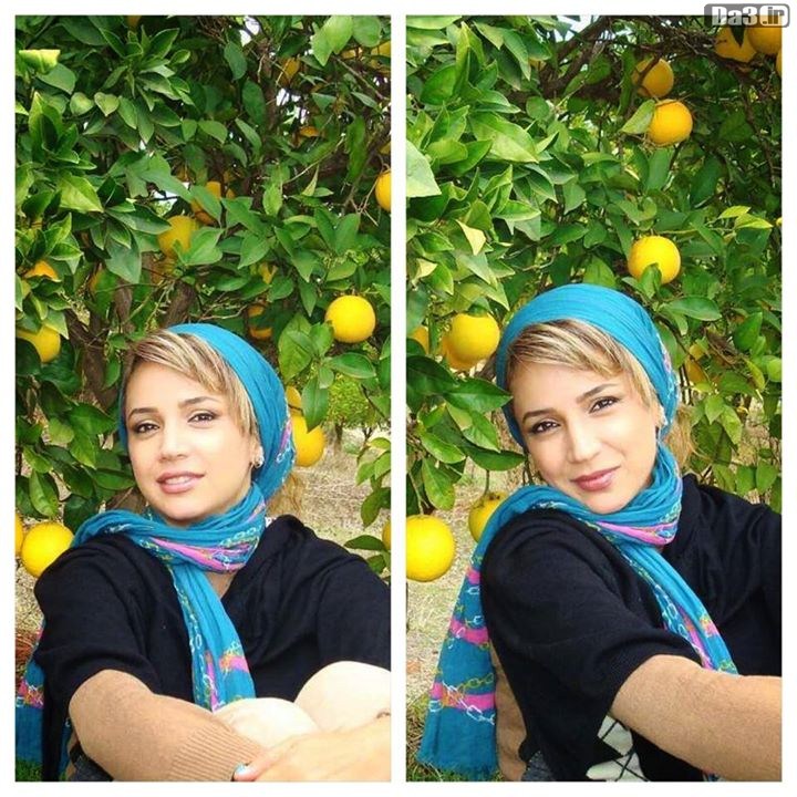 عکس های جدید شبنم قلی خانی در باغ پرتقال 