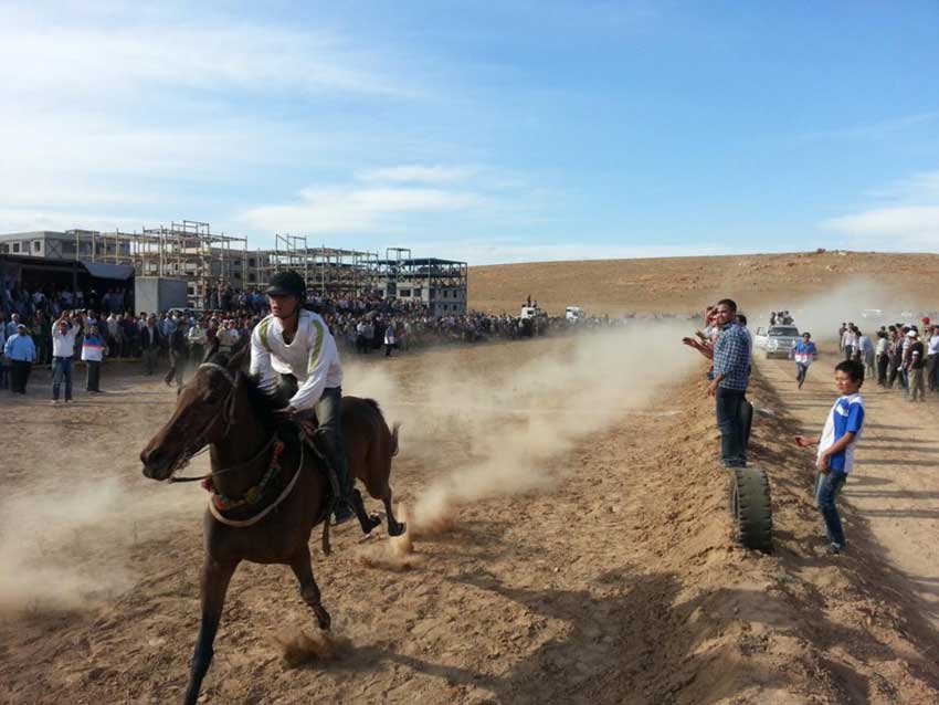 حضور پنج اسب سوار قاضی جهانی در مسابقات کورس بهاره آذربایجان در گوگان  