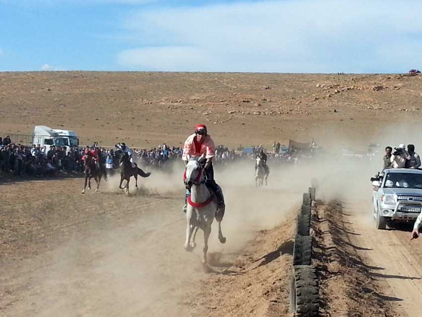 حضور پنج اسب سوار قاضی جهانی در مسابقات کورس بهاره آذربایجان در گوگان  