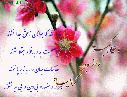 shabahang-of-birtht-ali-akbar-and-the-younger-days-gif