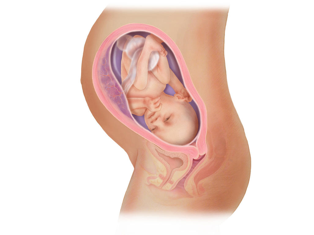 هفته ی 30 بارداری دانستنی ها و اطلاعات جنین تغییرات کودک در رحم