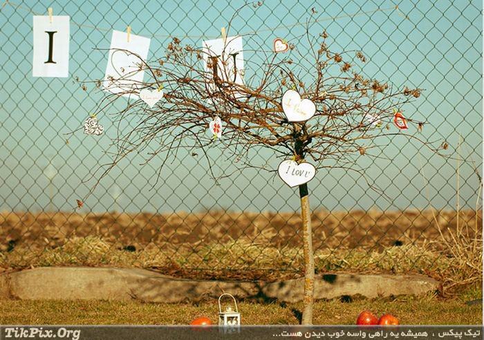 زیباترین عکس های عاشقانه