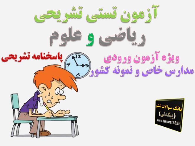 نمونه دولتی
