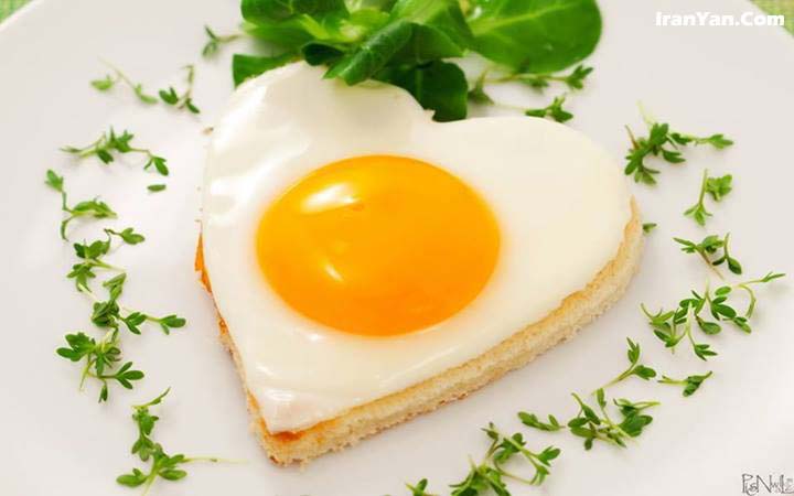 پزشکی: زرده تخممرغ بخوریم یا نخوریم؟ پزشکی: زرده تخممرغ بخوریم یا نخوریم؟