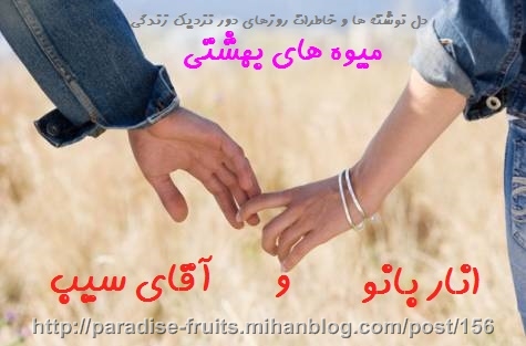 عاشقانه های انار بانو و آقای سیب - میوه های بهشتی