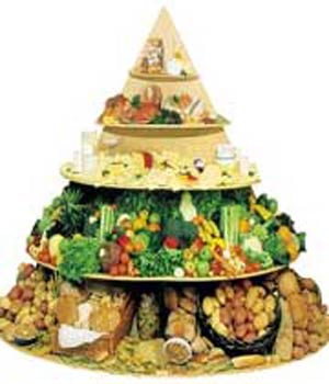 تغذیه: یک رژیم غذایی متعادل تغذیه: یک رژیم غذایی متعادل