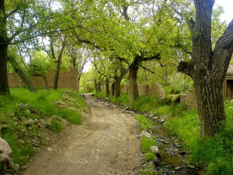 طبیعت اذرشهر