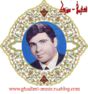 http://s5.picofile.com/file/8128714976/davood_maghami_88x94.jpg
