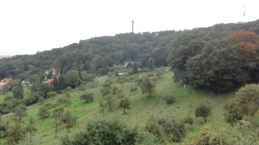 http://s5.picofile.com/file/8128759292/DSC02102.jpg