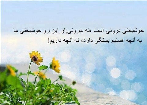 پاسخ به:تلنگر! خوشبختی یعنی .... 