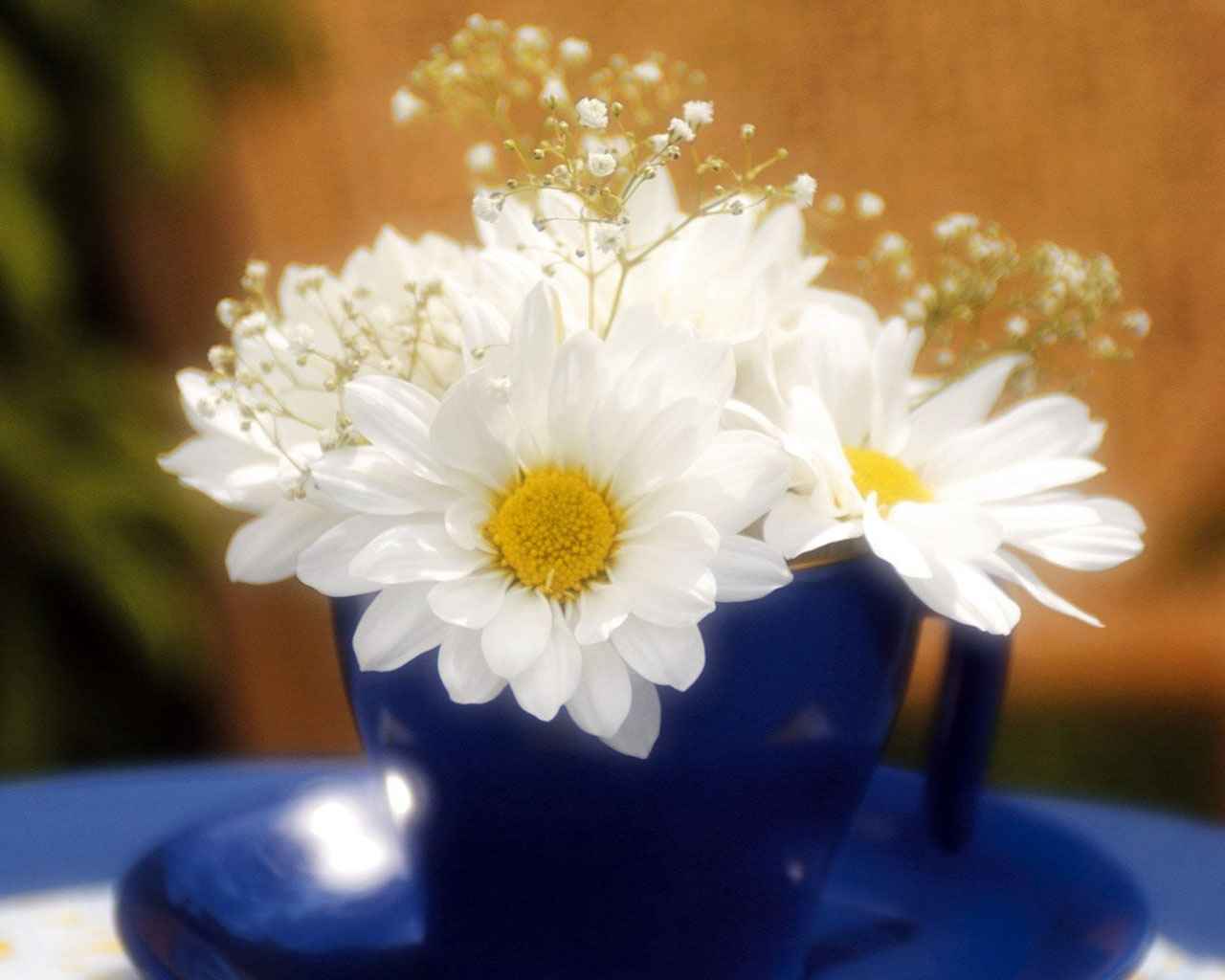 والپیپر گل های سفید