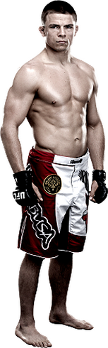 ))> پیش نمایش UFC Fight Night 45 : Cerrone vs. Miller  <((