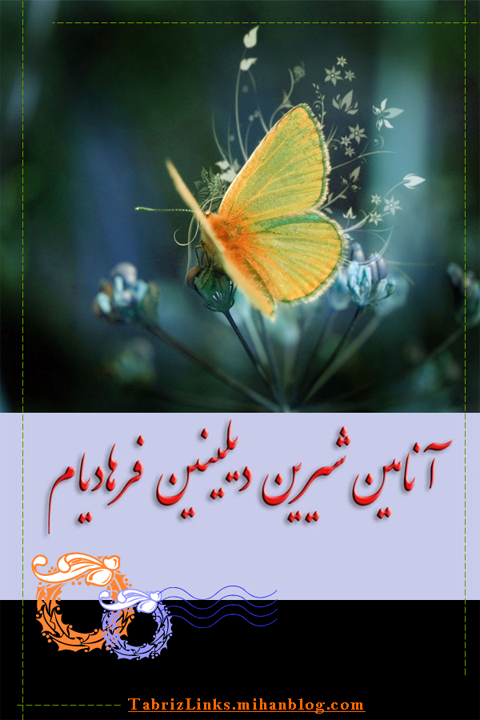 آنا دیلی