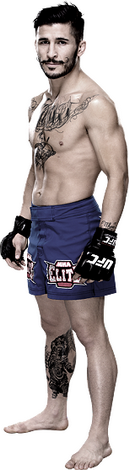 ))> پیش نمایش UFC Fight Night 46 : McGregor vs. Brandao <((