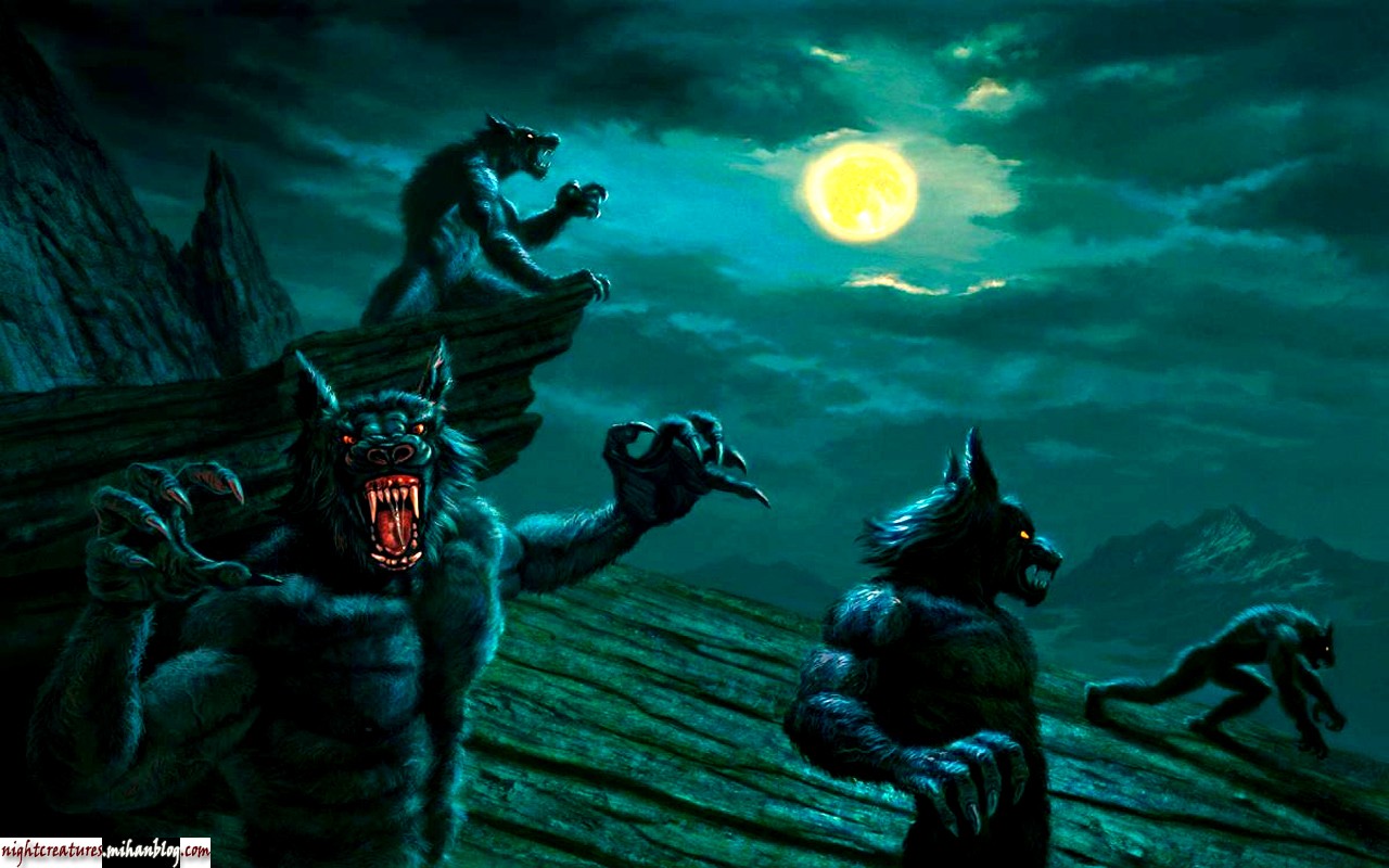 عکس_و_والپیپر_گرگنما_www_nightcreatures_mihanblog_com10.jpg (1280×800)