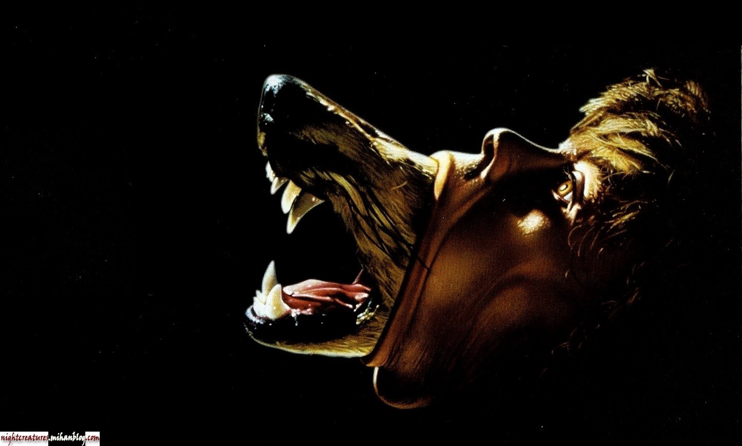 عکس_و_والپیپر_گرگنما_www_nightcreatures_mihanblog_com11.jpg (1444×868)