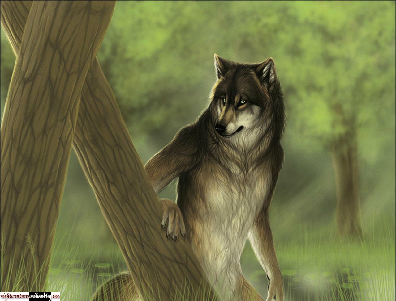 عکس_و_والپیپر_گرگنما_www_nightcreatures_mihanblog_com13.jpg (1280×975)