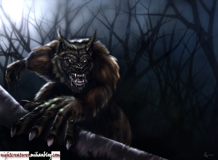 عکس_و_والپیپر_گرگنما_www_nightcreatures_mihanblog_com14.jpg (704×517)