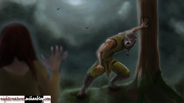 عکس_و_والپیپر_گرگنما_www_nightcreatures_mihanblog_com16.jpg (704×396)