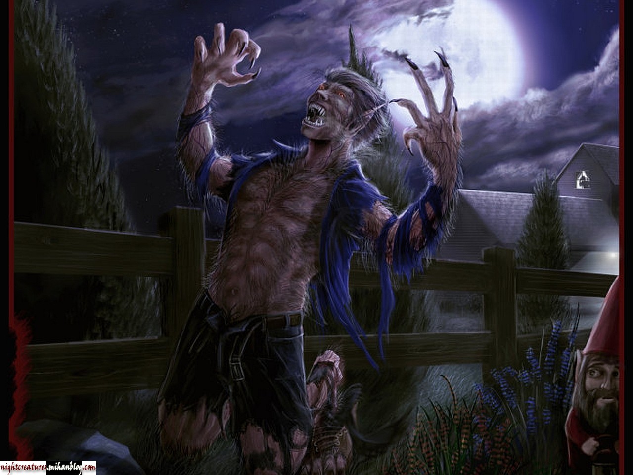 عکس_و_والپیپر_گرگنما_www_nightcreatures_mihanblog_com18.jpg (1280×960)
