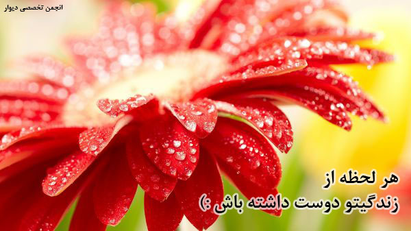 resim
