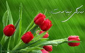 آرامش برای تو