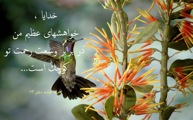 [تصویر: t2231.jpg]