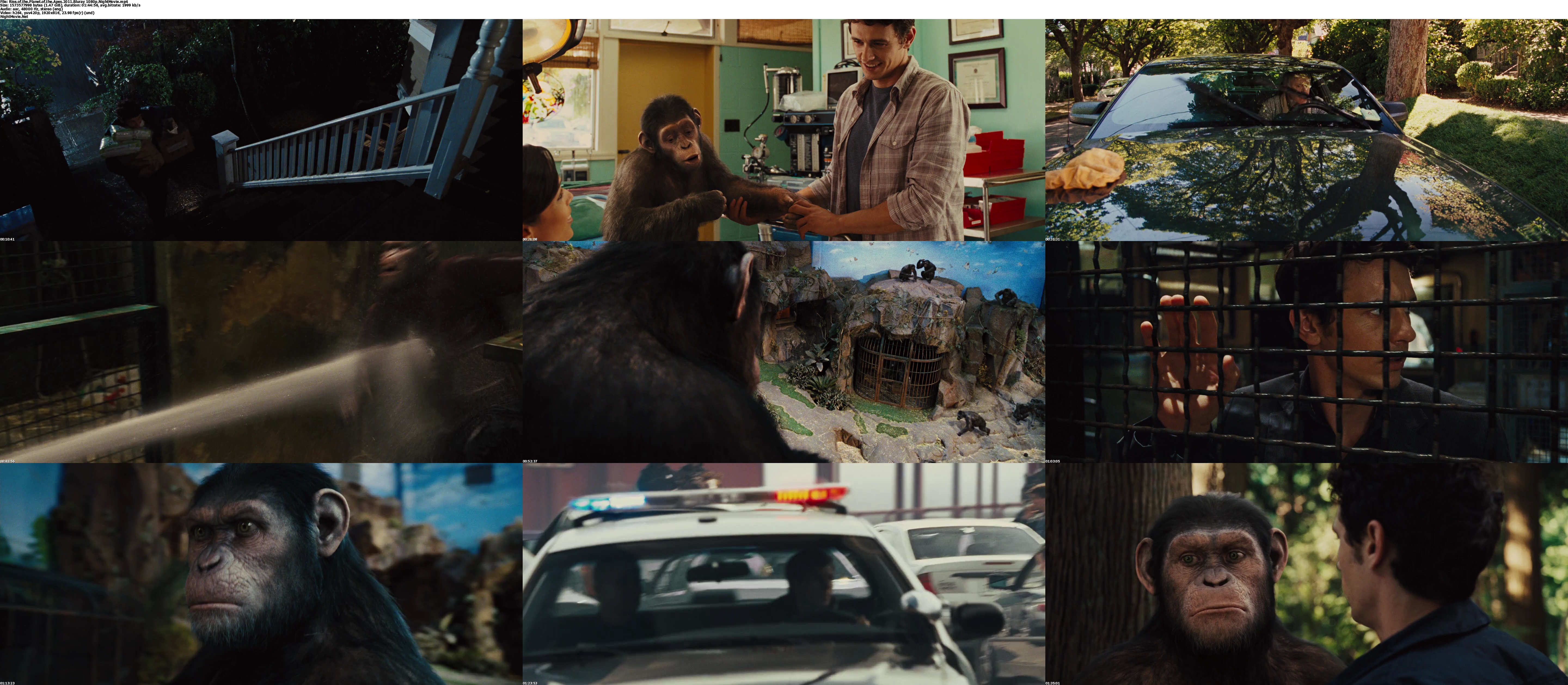 Rise of the Planet of the Apes English Subtitle - YIFY YTS