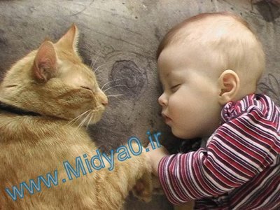 عکس بچه های خوشکل,عکس،عکس از بچه های ناز،عکس از بجه های لخت نی نی،عکس از نی نی های شما،عکس بچه،عکس از بچه های تبلیغی،عکس بی بی،عکس زیباترین بچه های دنیا,نی نی,بچه,زیبا,خوشکل,عکس بچه های چشم خوشرنگ,میدیاصفر,گروه اینترنتی میدیاصفر