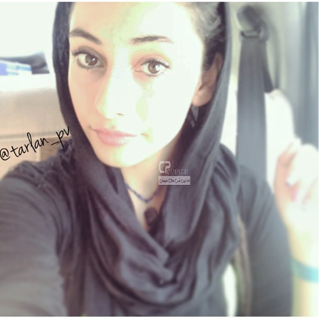 ترلان پروانه