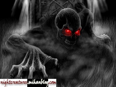 عکس_و_والپیپر_اسکلت_فانتزی_www_nightcreatures_mihanblog_com18.jpg (400×300)