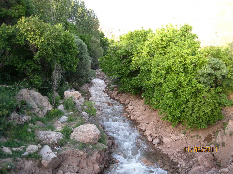 باغات زنوز