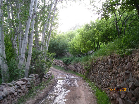 باغات زنوز