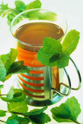 چای لاغری چای لاغری