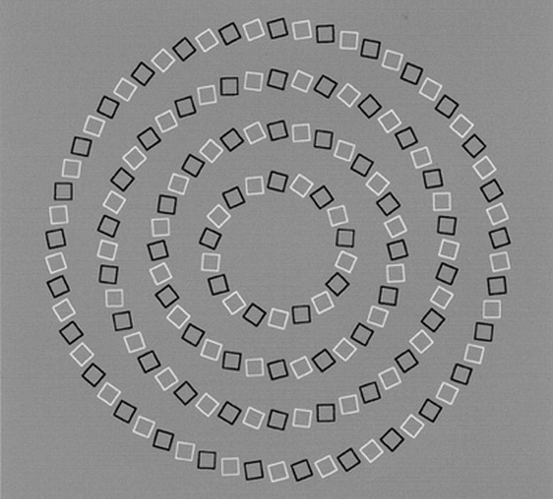 http://s5.picofile.com/file/8134006168/Round_circles_Optical_illusion1_934x.jpg