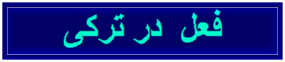 فعل در ترکی