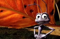 علمی و فناوری: مورچه‌ها هم شخصیت دارند!