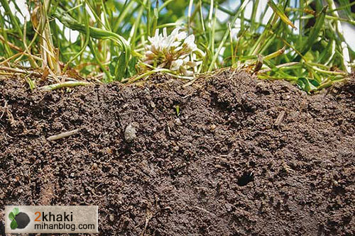 2خاکی، دو خاکی، سال جهانی خاک, محیط زیست