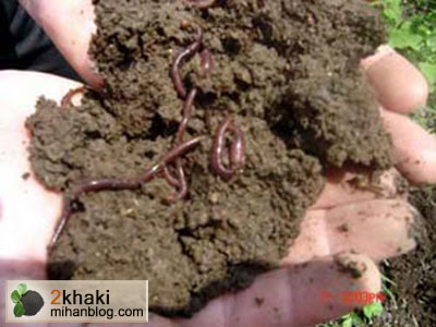 دو خاکی, تقویت کننده های طبیعی خاک, مواد آلی