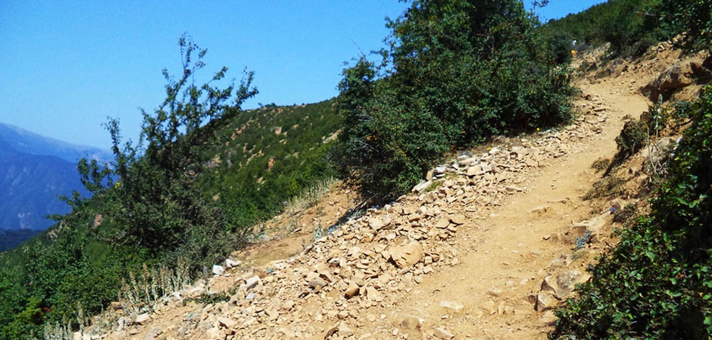 مسیر به سمت امامزاده