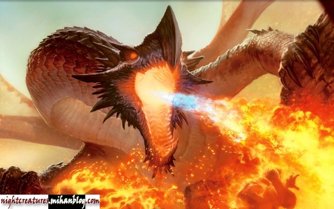 عکس_و_والپیپر_اژدهایان_فانتزی_www_nightcreatures_mihanblog_com16.jpg (650×407)