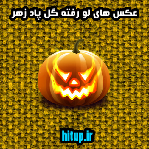 عکس های لو رفته
