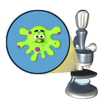 http://s5.picofile.com/file/8135269784/256986.gif