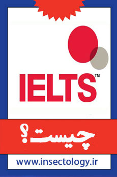 تافل چیست؟