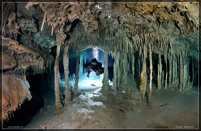 (5)غارها و رودخانه‌ای عجیب در زیر دریا جالب + عکس_Www.ax2shot.r98.ir
