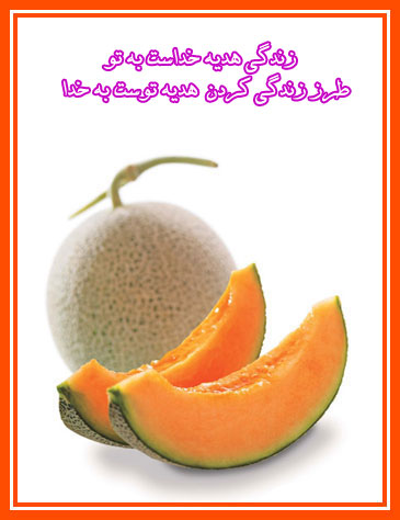 IMAGE(http://s5.picofile.com/file/8135823518/93t.jpg)