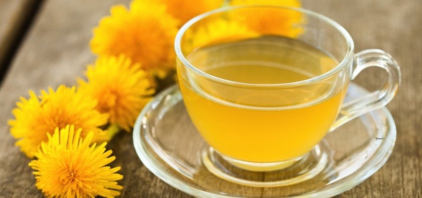 طب سنتی: ۱۴ فایده چای قاصدک طب سنتی: ۱۴ فایده چای قاصدک