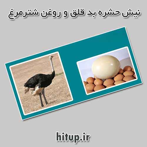 روغن شتر مرغ